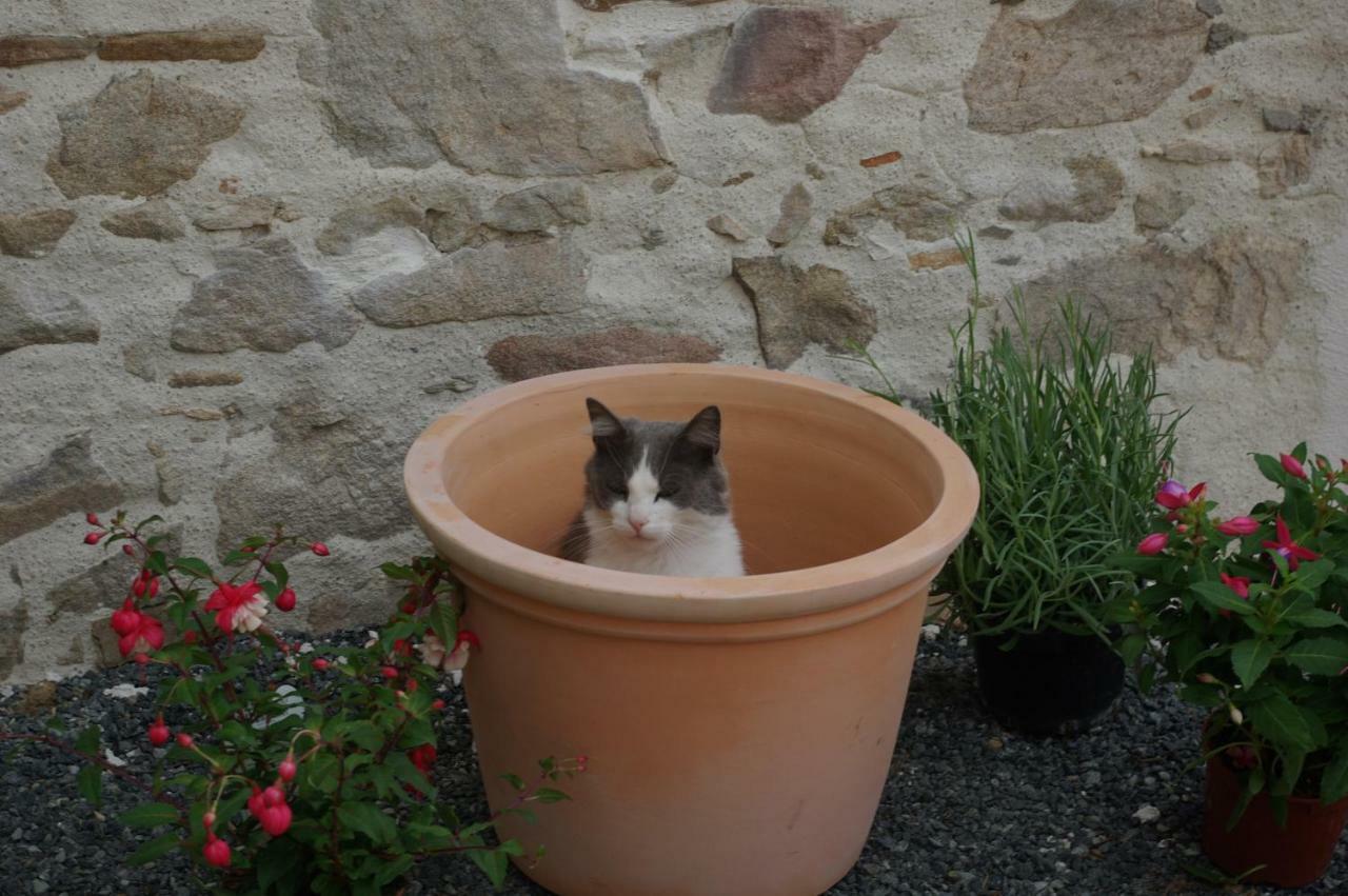 Les Trois Etangs Bed & Breakfast Saint-Viaud Exterior foto